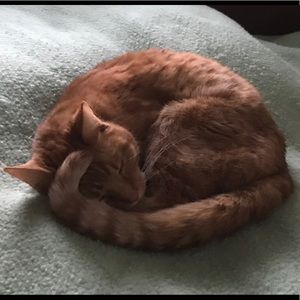 Meet your Posher, Joan